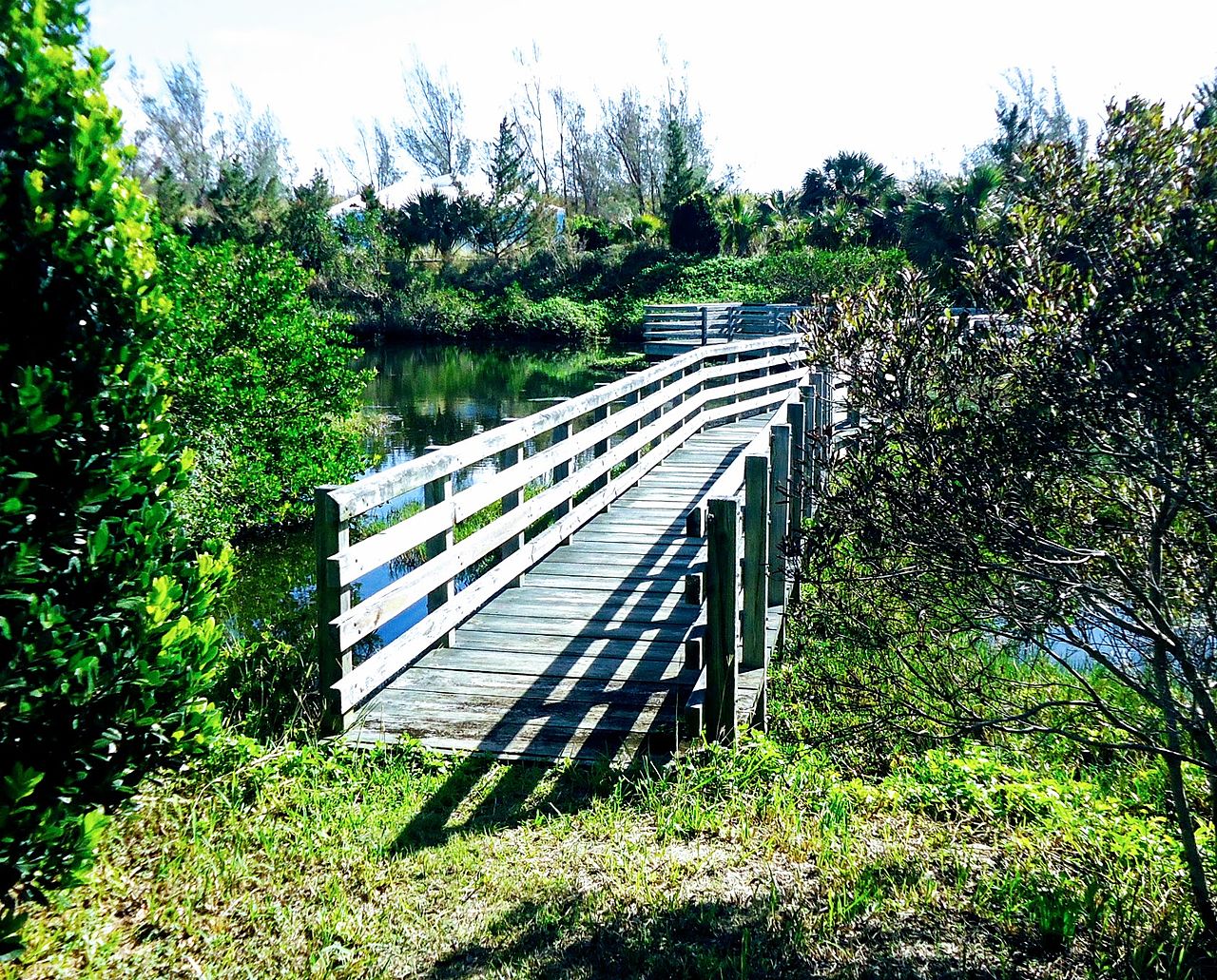 Marine Decking Walkway